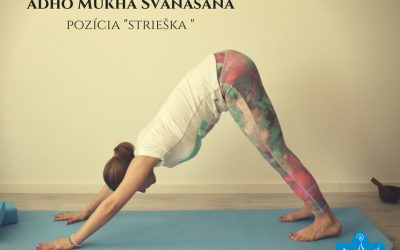 Adho mukha svanasana, pozícia striešky