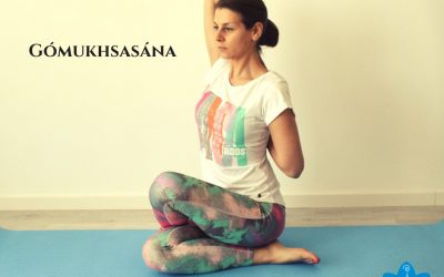 Gómukhsasána, pozícia hlava kravy (kraví pysk)