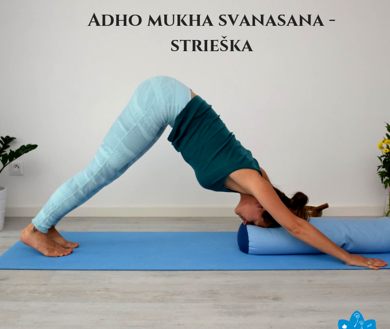 Restorativna joga - asana strieška