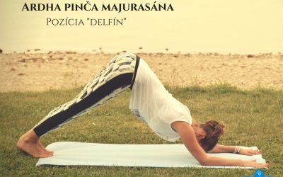 Ardha Pinča Majurasána, pozícia delfín