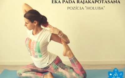 Eka pada rajakapotasána, pozícia holuba