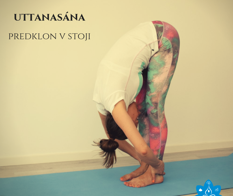 uttanasana - predklon v stoji